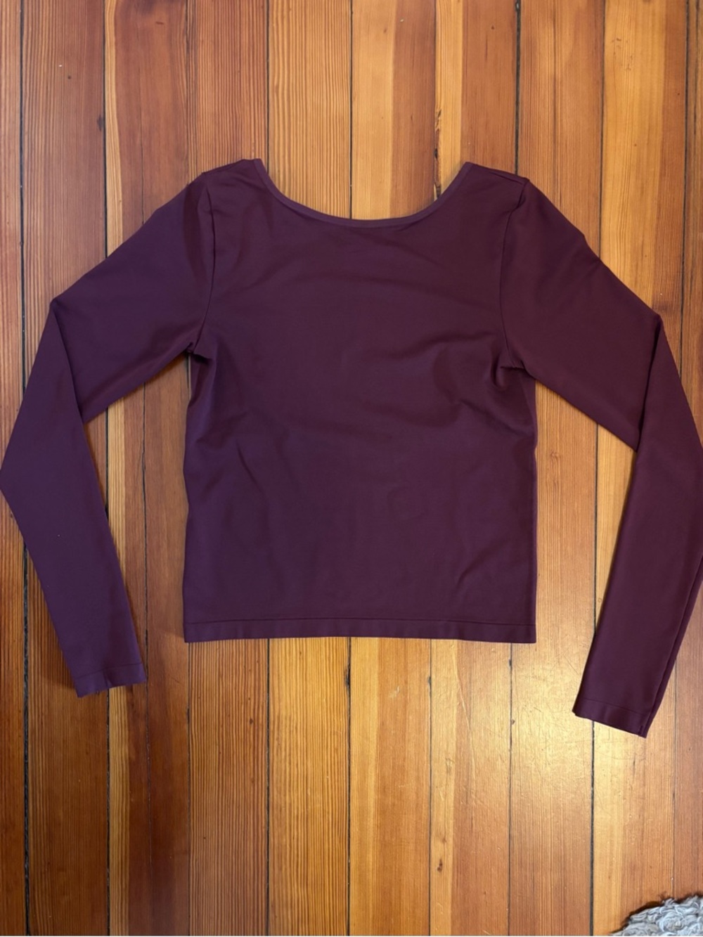Aritzia Long-Sleeve, Low Back Top in Plum